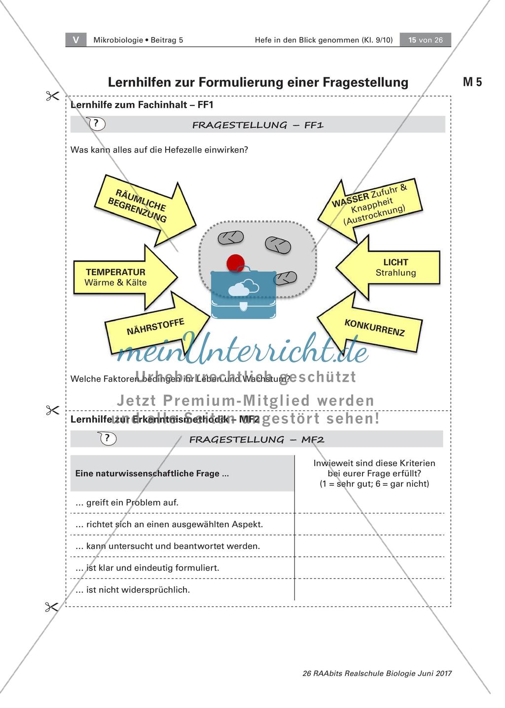 Experimente zu Hefe Preview 5