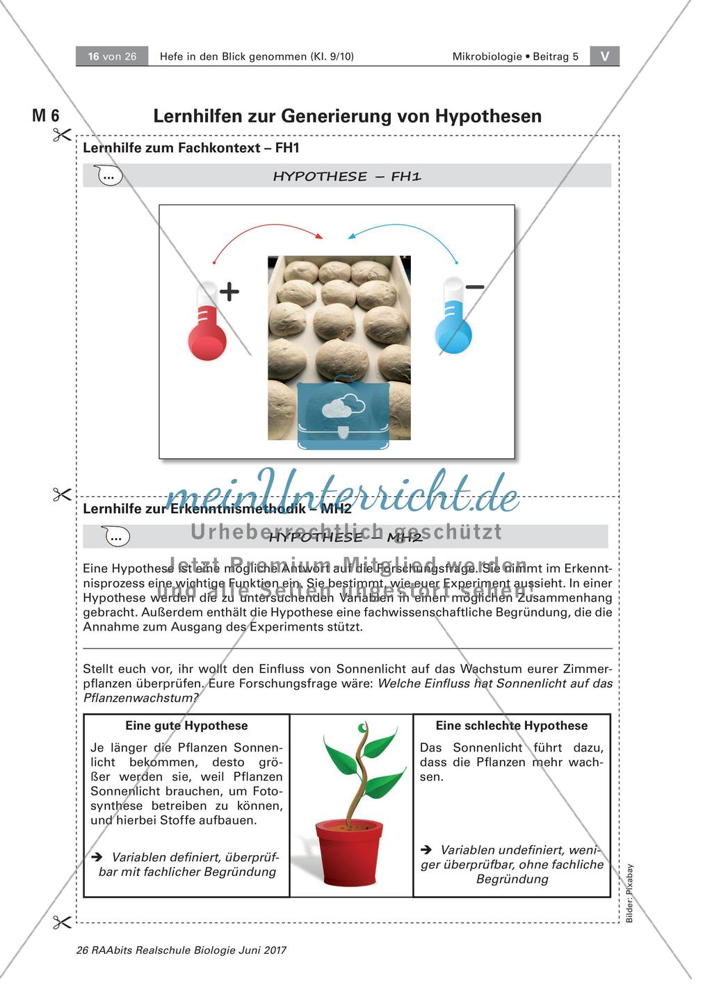 Experimente zu Hefe Preview 6