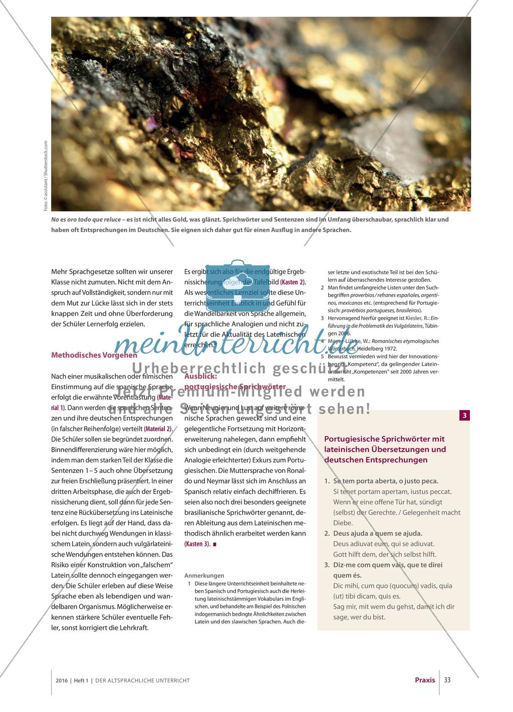 A fontibus: Sprichwörter Preview 2