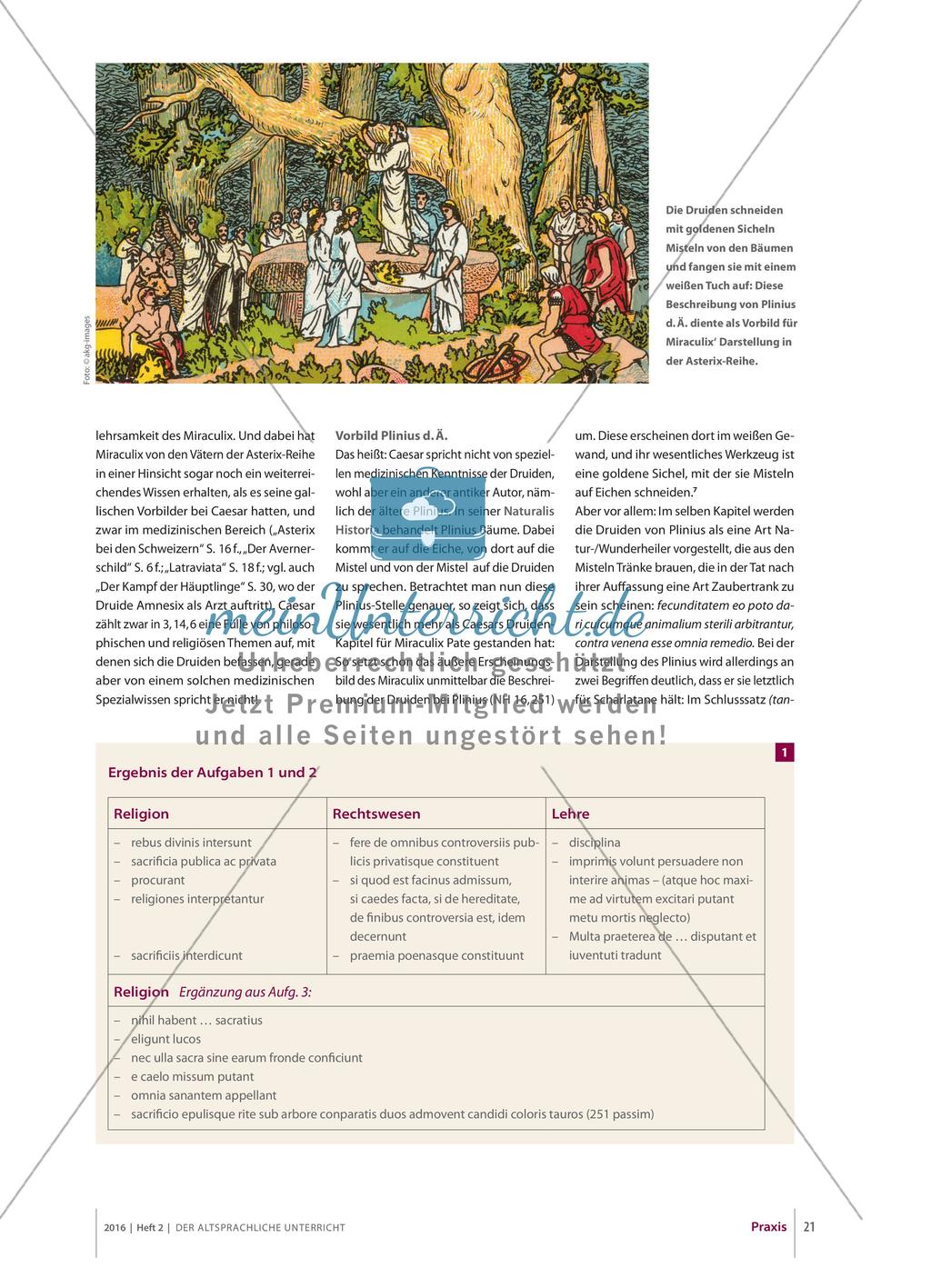 Die Religion der Germanen und Gallier aus der Sicht der Römer Preview 2
