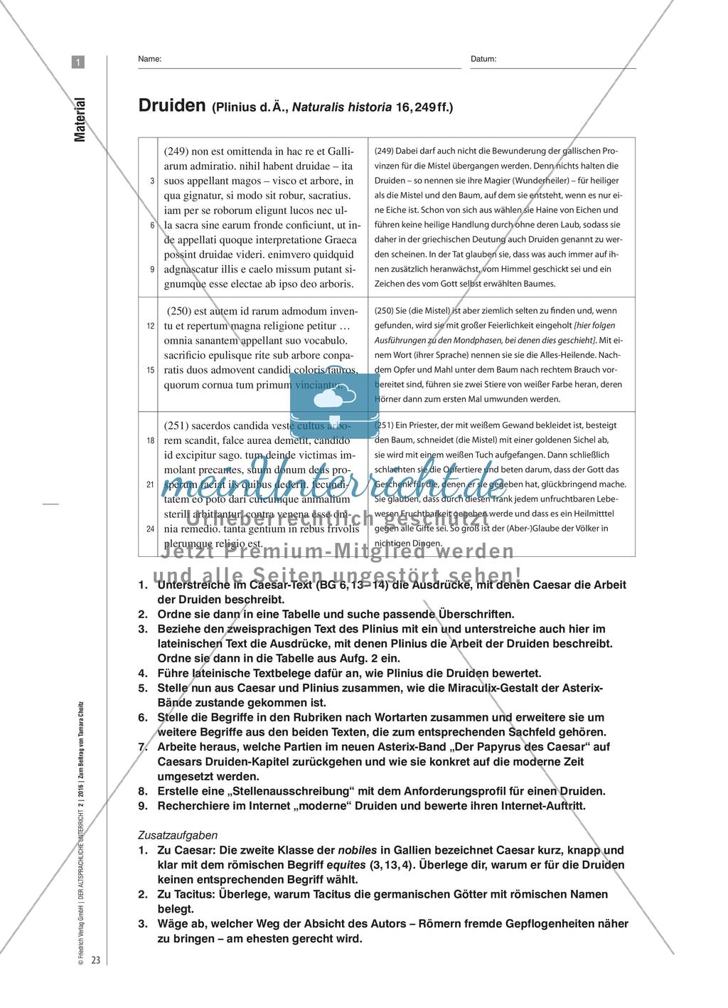 Die Religion der Germanen und Gallier aus der Sicht der Römer Preview 4