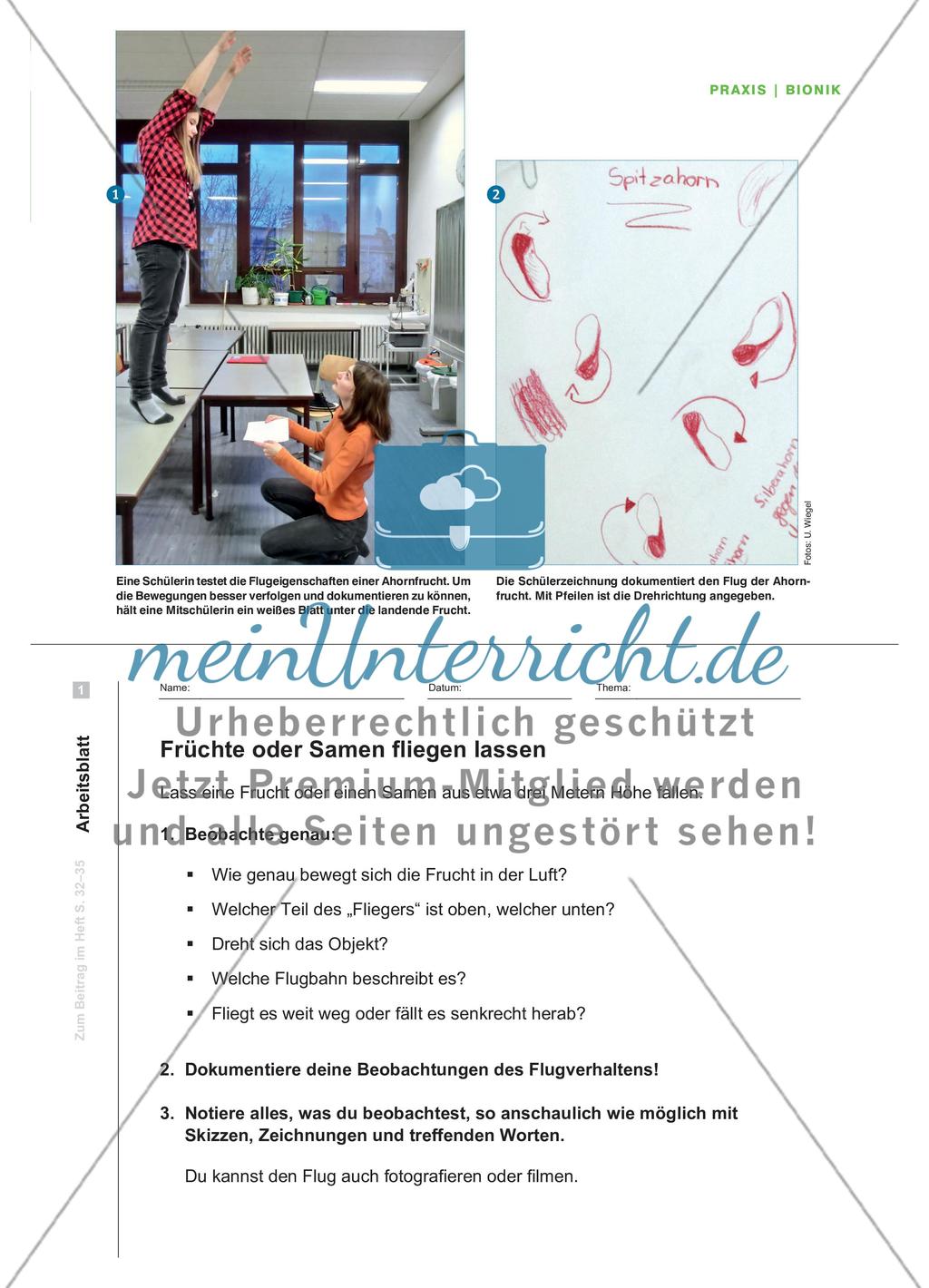 Fliegertypen aus der Pflanzenwelt - Die bionische Entwicklungsmethode nachempfinden Preview 2