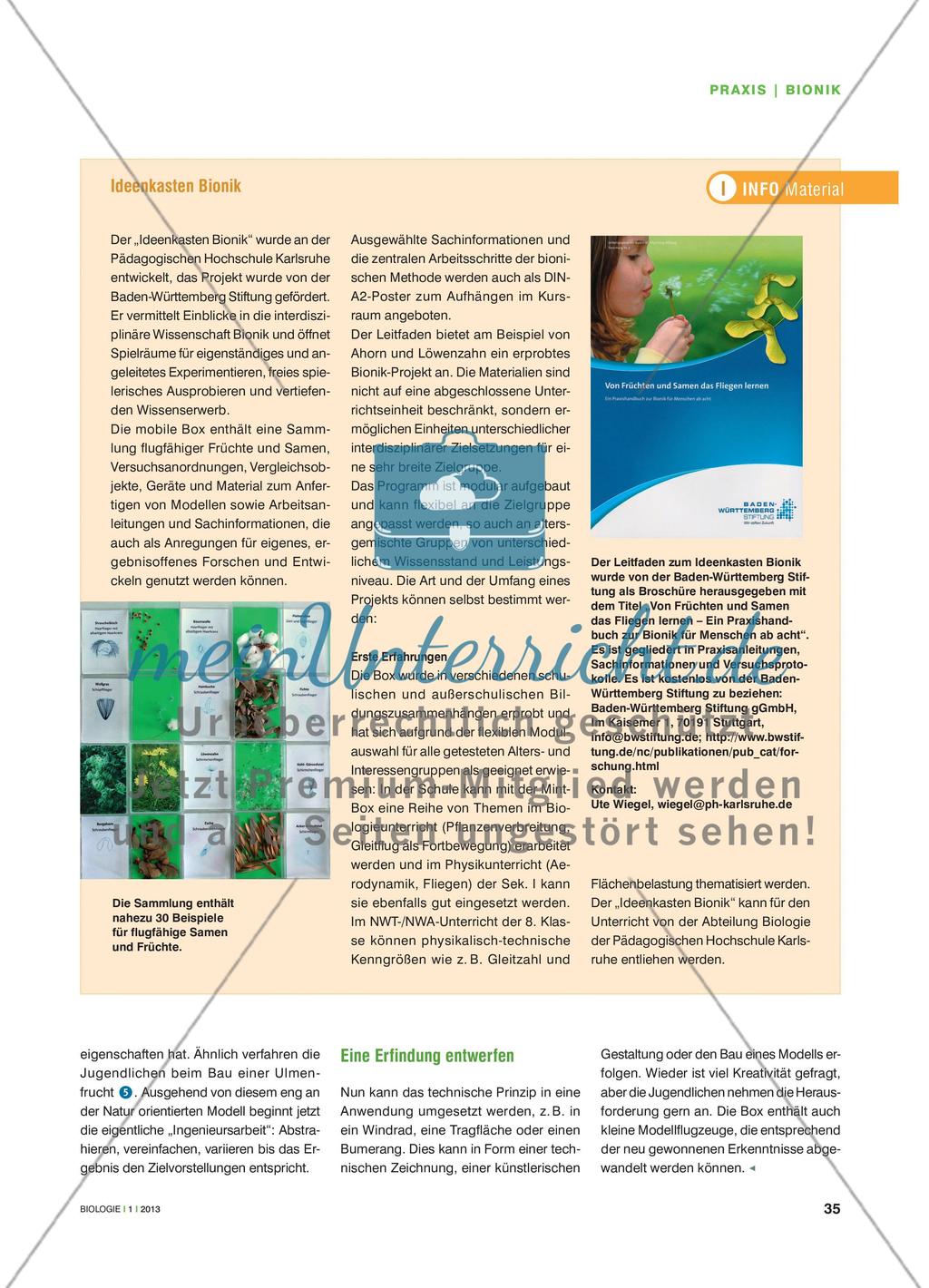 Fliegertypen aus der Pflanzenwelt - Die bionische Entwicklungsmethode nachempfinden Preview 4