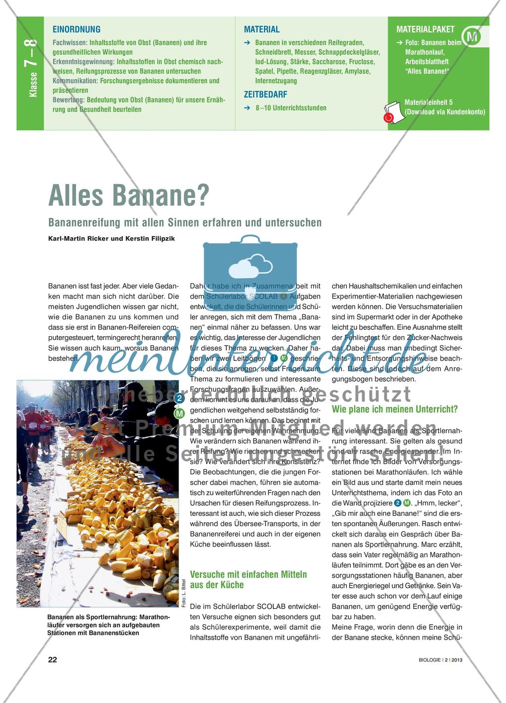 Alles Banane? - Bananenreifung mit allen Sinnen erfahren und untersuchen Preview 1