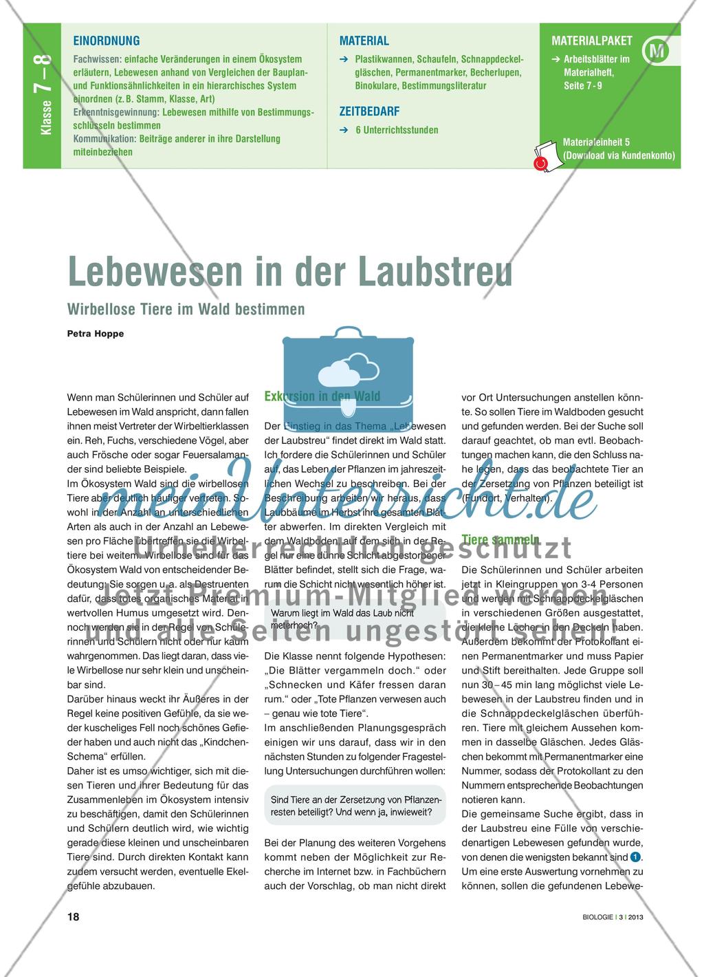 Lebewesen in der Laubstreu - Wirbellose Tiere im Wald bestimmen Preview 1