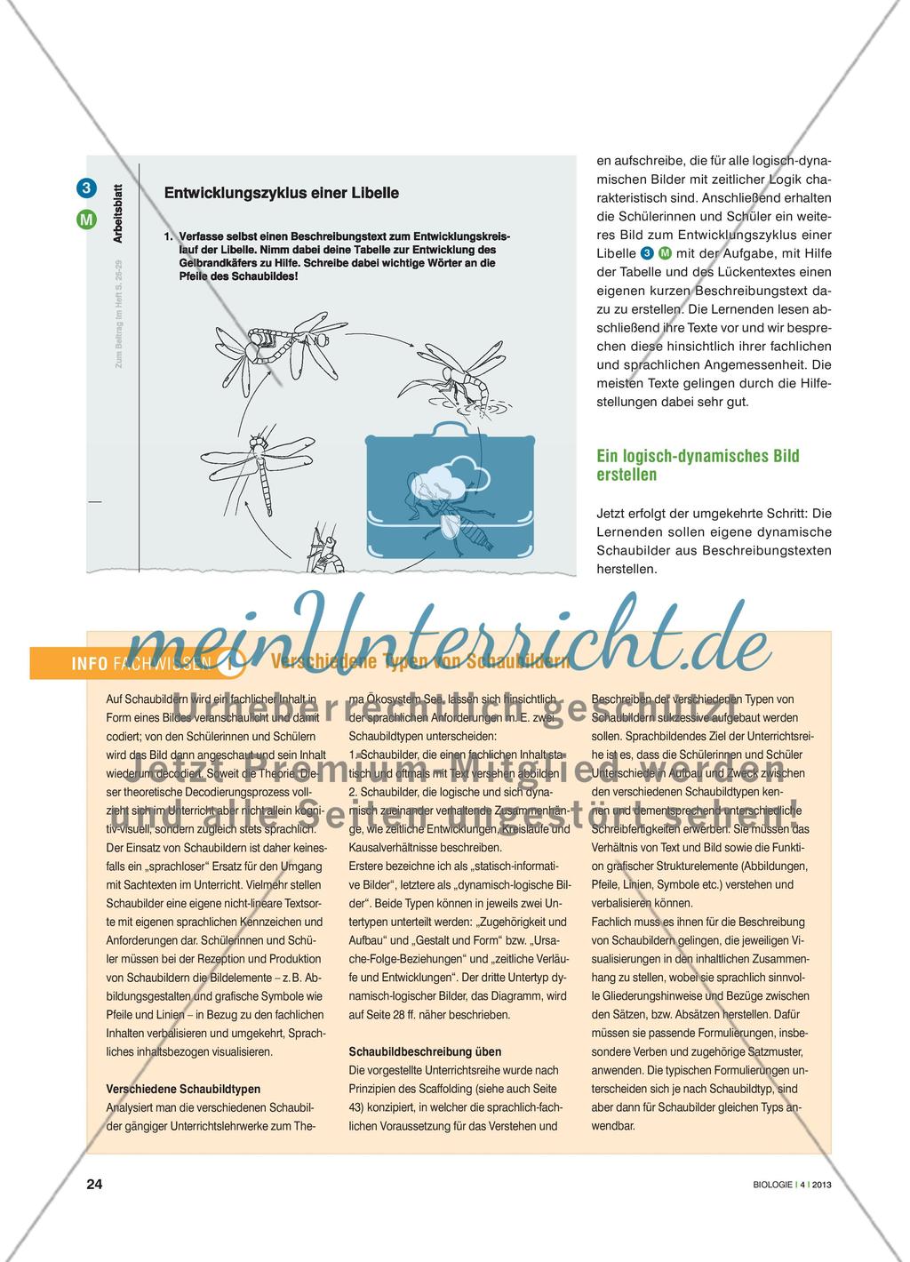... verwandelt sich in ... - Verschiedene Schaubildtypen verstehen und beschreiben Preview 3