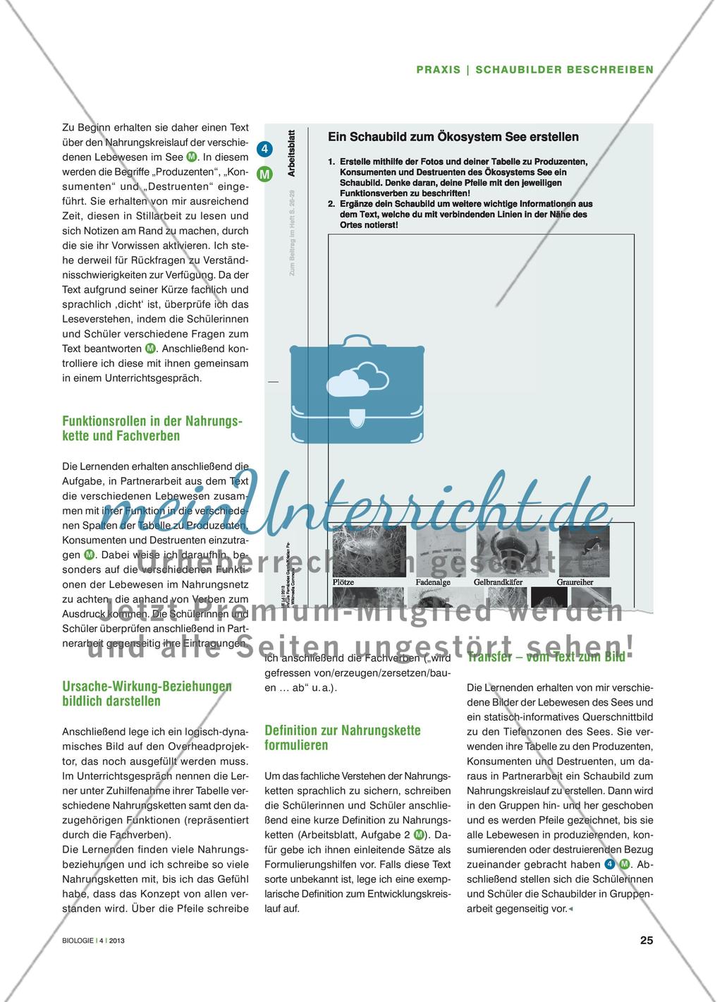 ... verwandelt sich in ... - Verschiedene Schaubildtypen verstehen und beschreiben Preview 4
