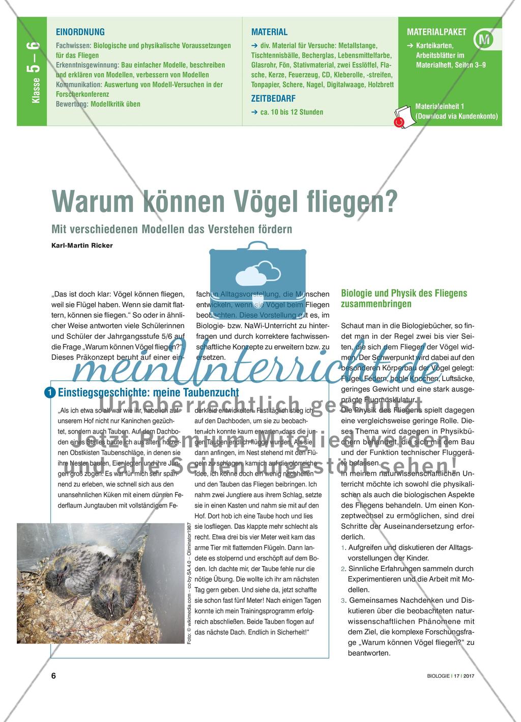 Warum können Vögel fliegen? - Mit verschiedenen Modellen das Verstehen fördern Preview 1