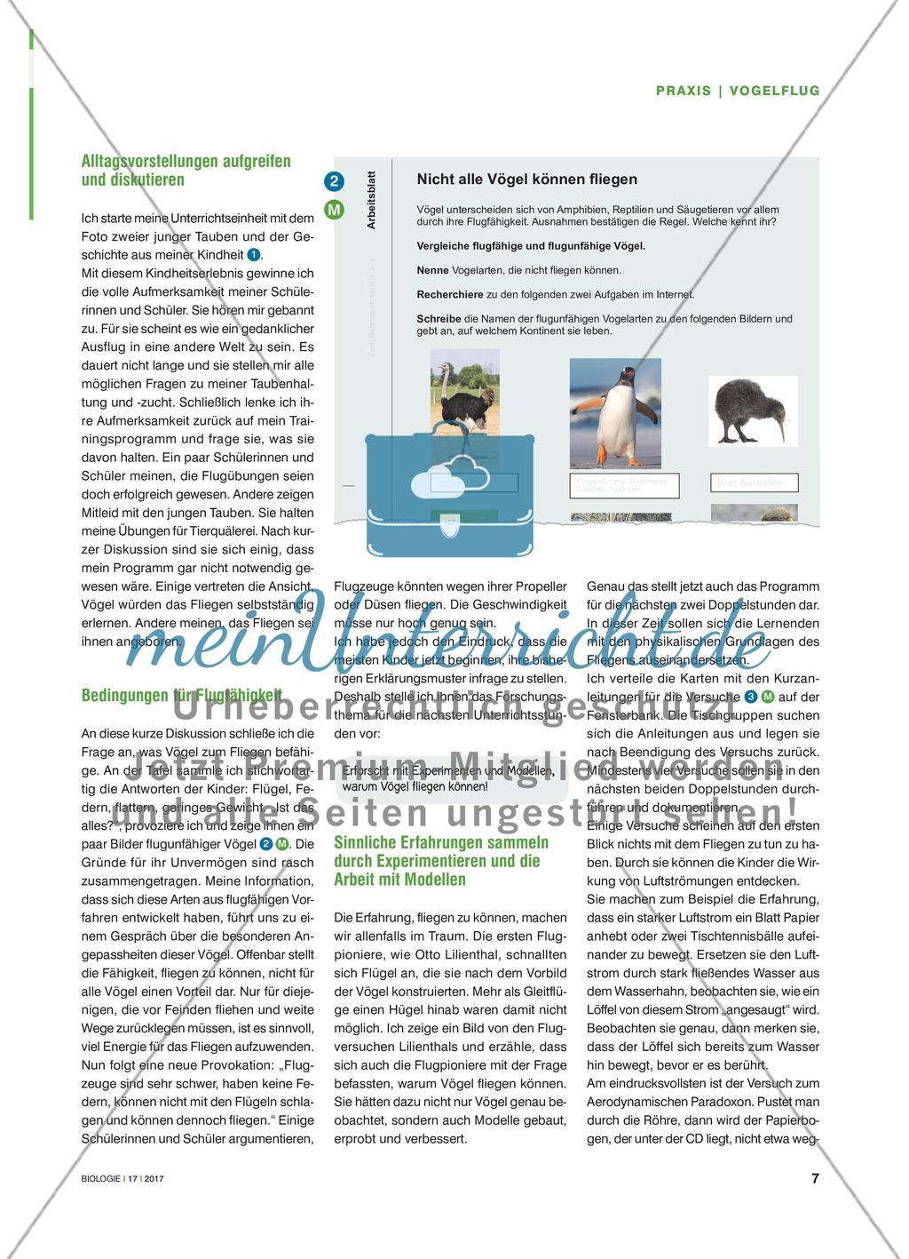 Warum können Vögel fliegen? - Mit verschiedenen Modellen das Verstehen fördern Preview 2