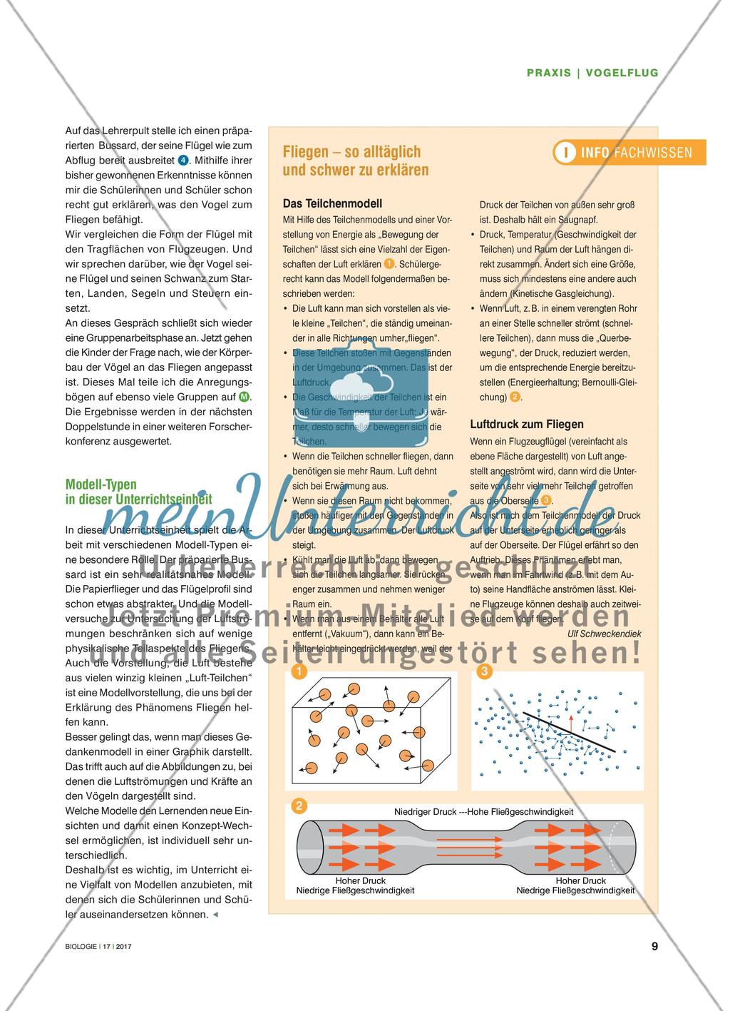 Warum können Vögel fliegen? - Mit verschiedenen Modellen das Verstehen fördern Preview 4