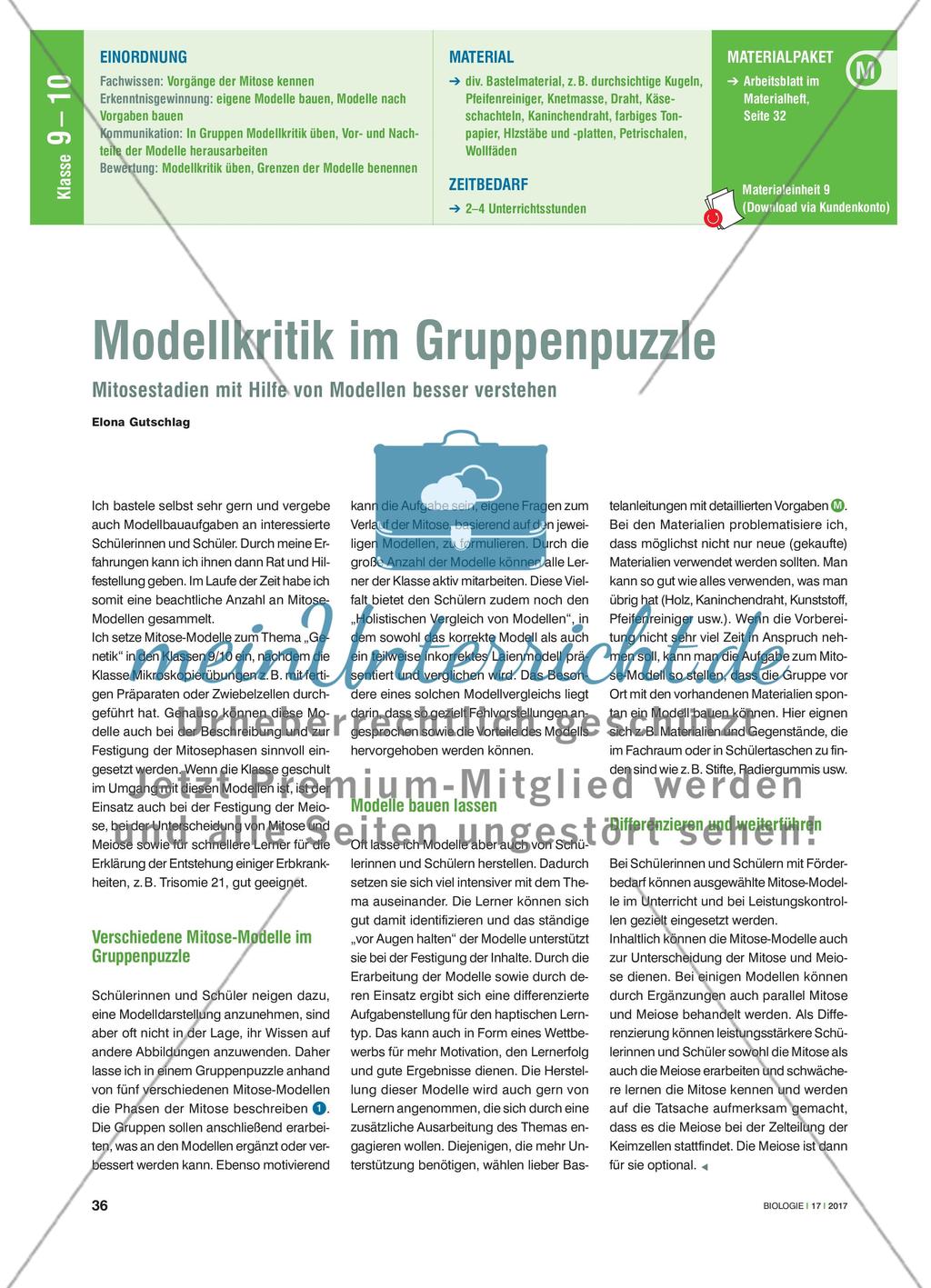 Modellkritik im Gruppenpuzzle - Mitosestadien mit Hilfe von Modellen besser verstehen Preview 1