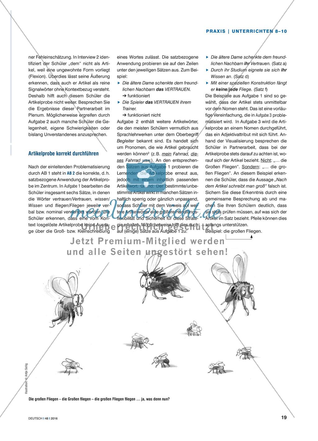 Die Großschreibung von Nomen und Nominalisierungen erkennen - Die Artikel- und Attributsprobe richtig anwenden Preview 2
