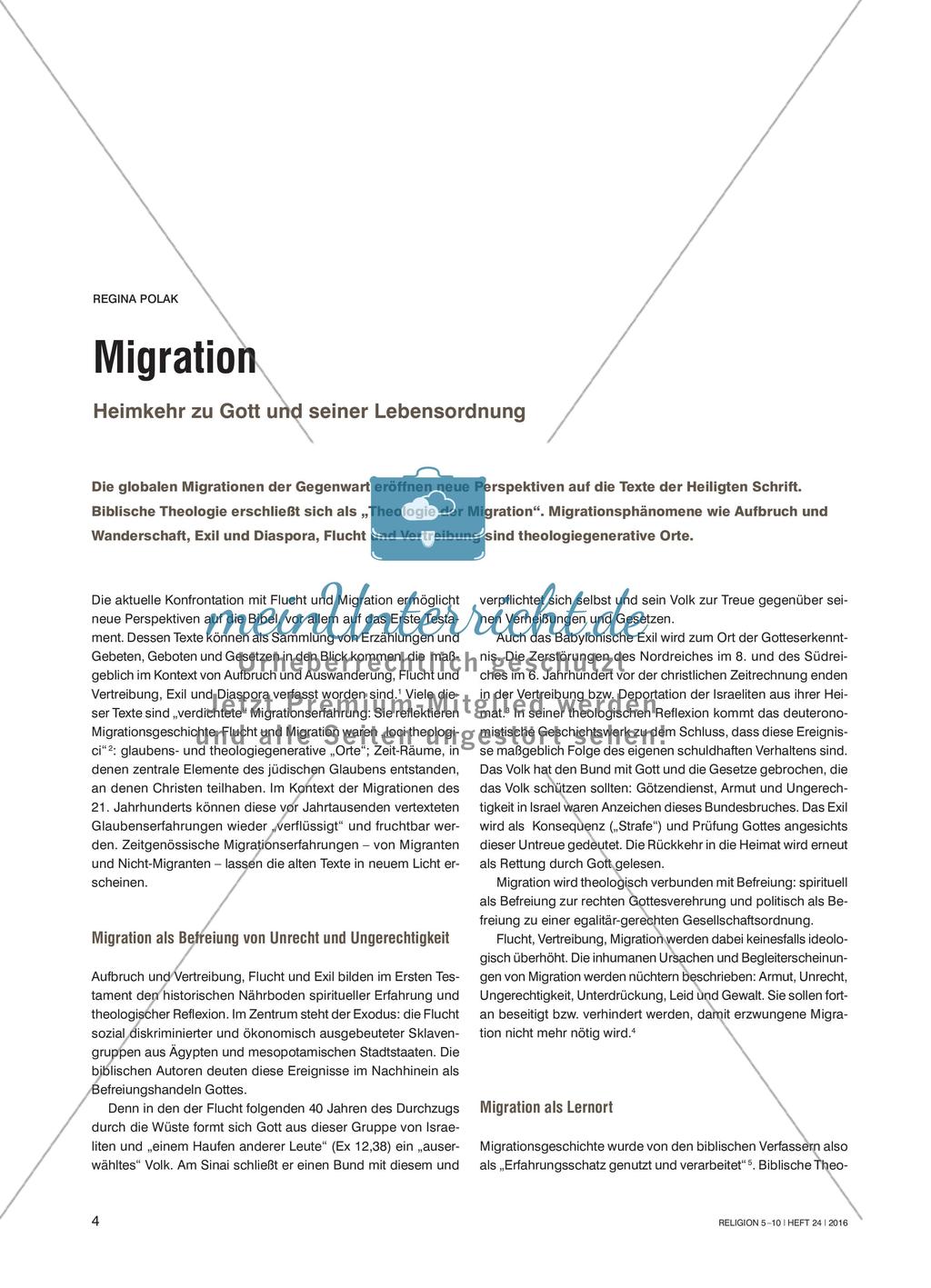 Migration - Heimkehr zu Gott und seiner Lebensordnung Preview 1