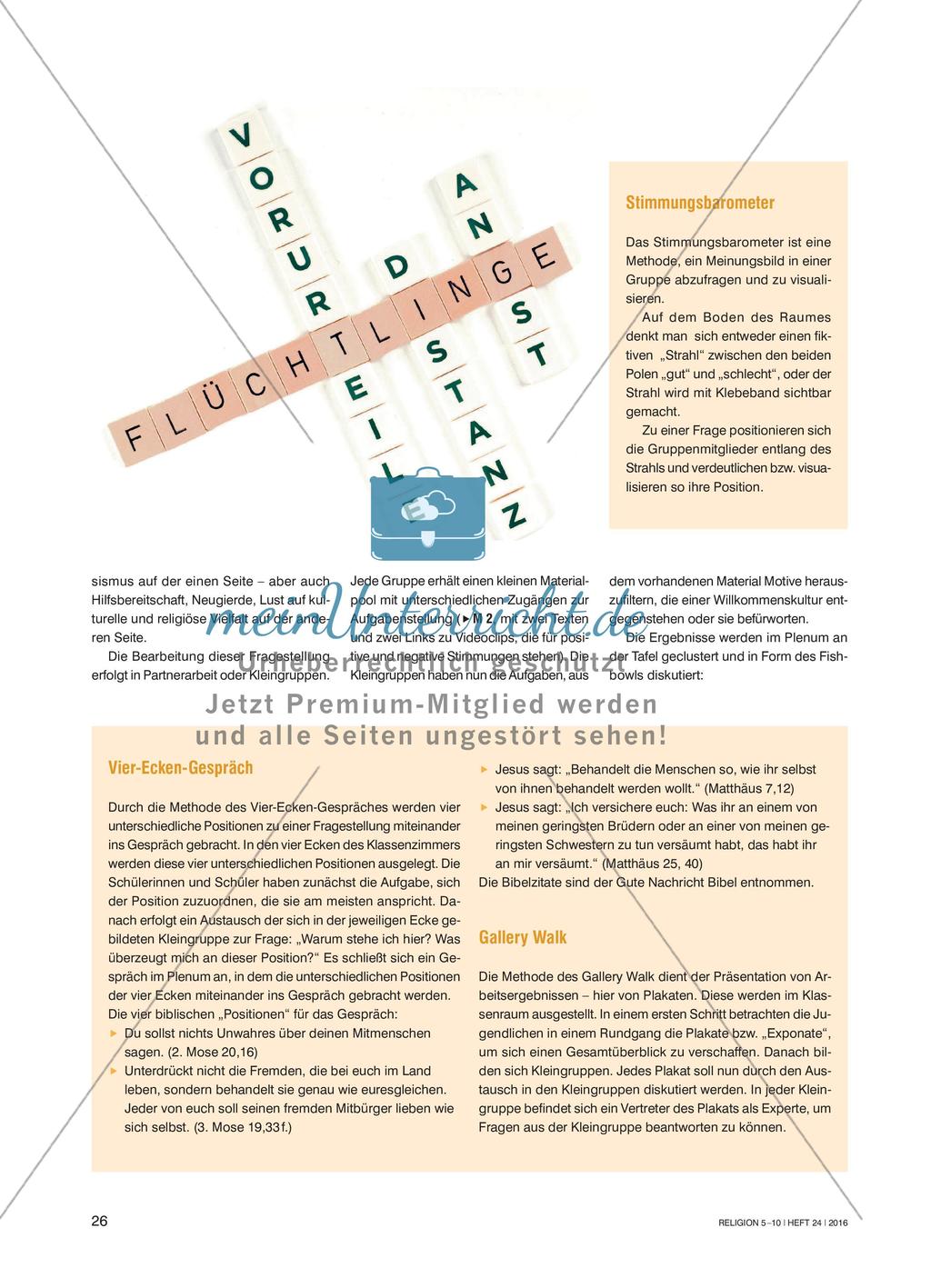 Eine Ausstellung zu „Flucht“ gestalten - Wie Hassparolen gegenüber Flüchtlingen entkräftet werden können Preview 3