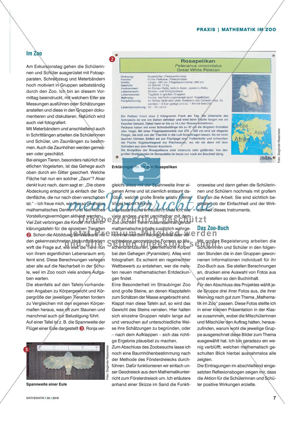 Mathematik im Zoo - Ein Ausflug mit vielen Bezügen zur Mathematik: Planen, Messen, Rechnen, … Preview 2