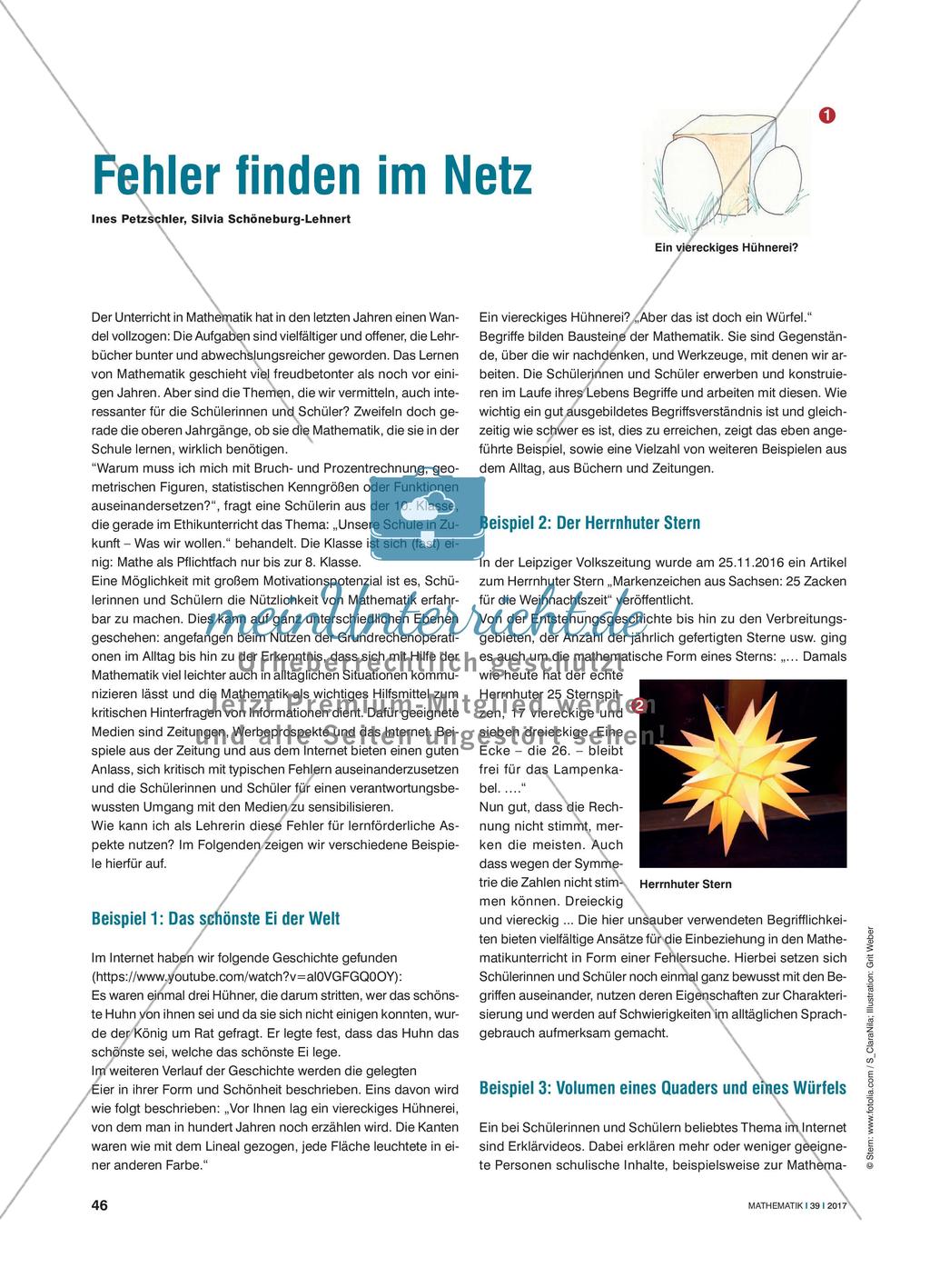 Fehler finden im Netz Preview 1