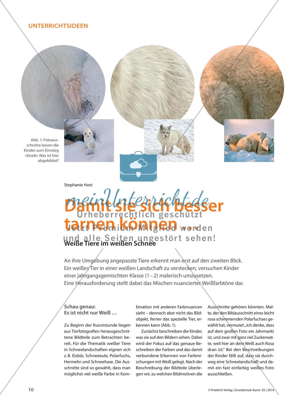 Damit sie sich besser tarnen können … - Weiße Tiere im weißen Schnee Preview 1