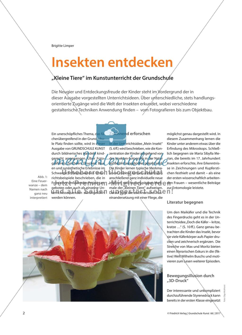 Insekten entdecken - „Kleine Tiere“ im Kunstunterricht der Grundschule Preview 1