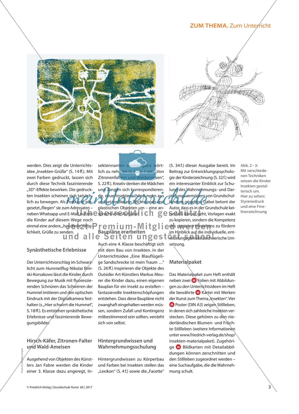Insekten entdecken - „Kleine Tiere“ im Kunstunterricht der Grundschule Preview 2