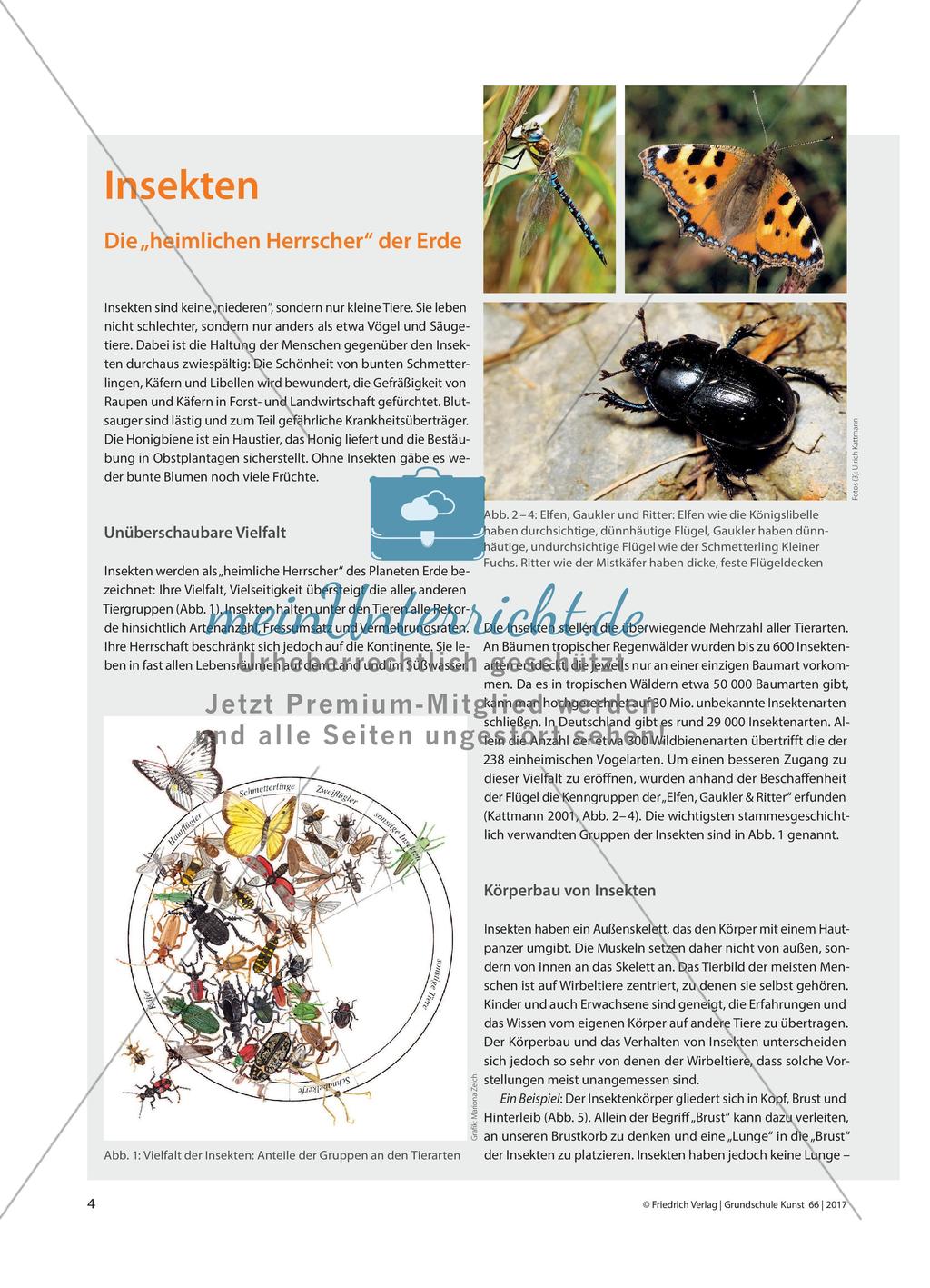 Insekten - Die „heimlichen Herrscher“ der Erde Preview 1