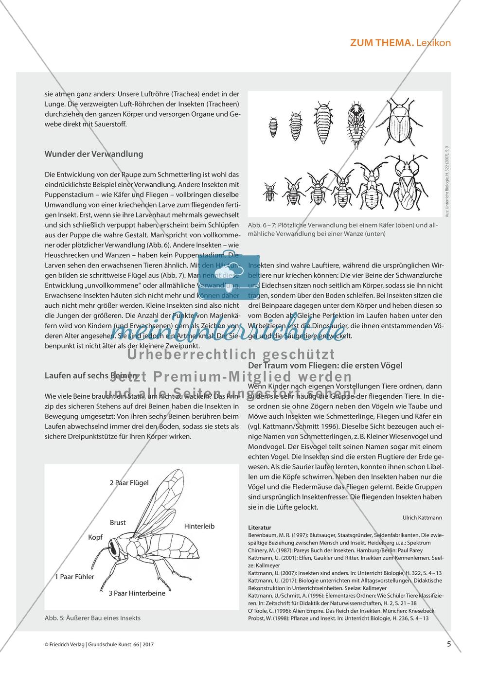 Insekten - Die „heimlichen Herrscher“ der Erde Preview 2