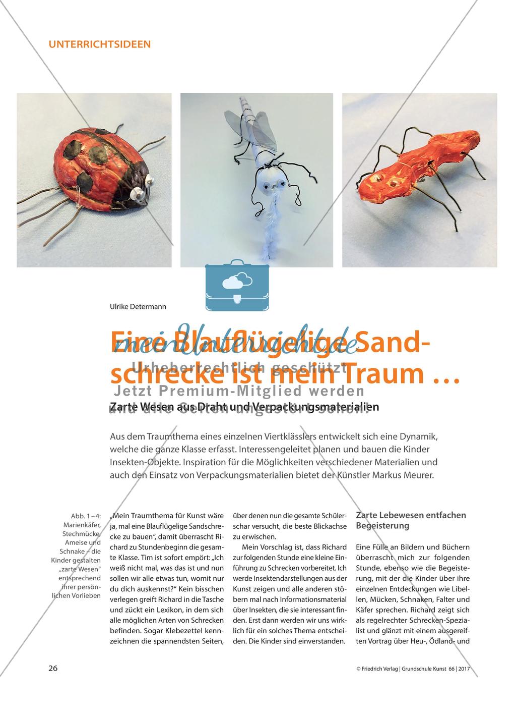 Eine Blauflügelige Sandschrecke ist mein Traum … - Zarte Wesen aus Draht und Verpackungsmaterialien Preview 1