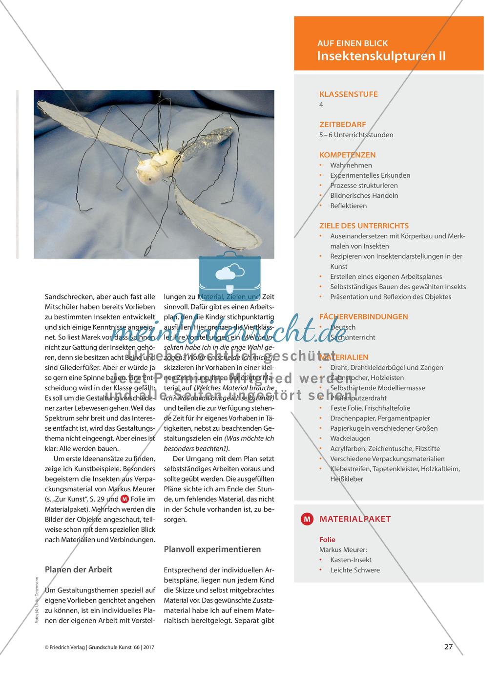 Eine Blauflügelige Sandschrecke ist mein Traum … - Zarte Wesen aus Draht und Verpackungsmaterialien Preview 2