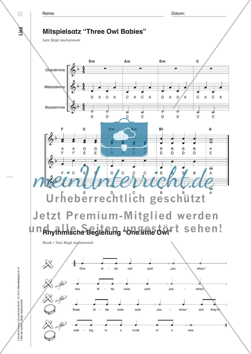 Drei kleine Eulen - Das Bilderbuch “Owl Babies” mit viel Musik Preview 5