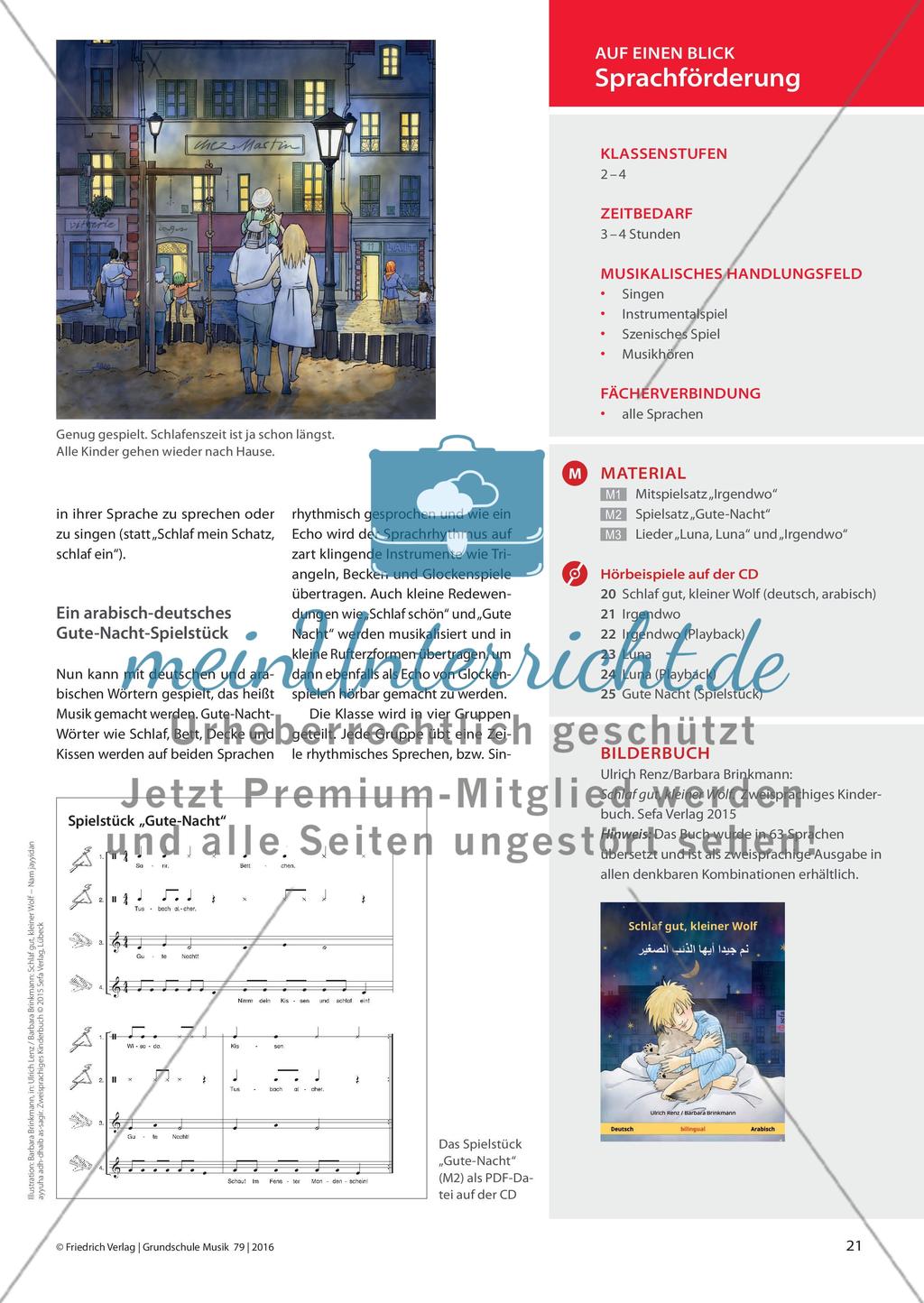 „Schlaf gut, kleiner Wolf“ - Ein deutsch-arabisches Bilderbuch im Musikunterricht Preview 2