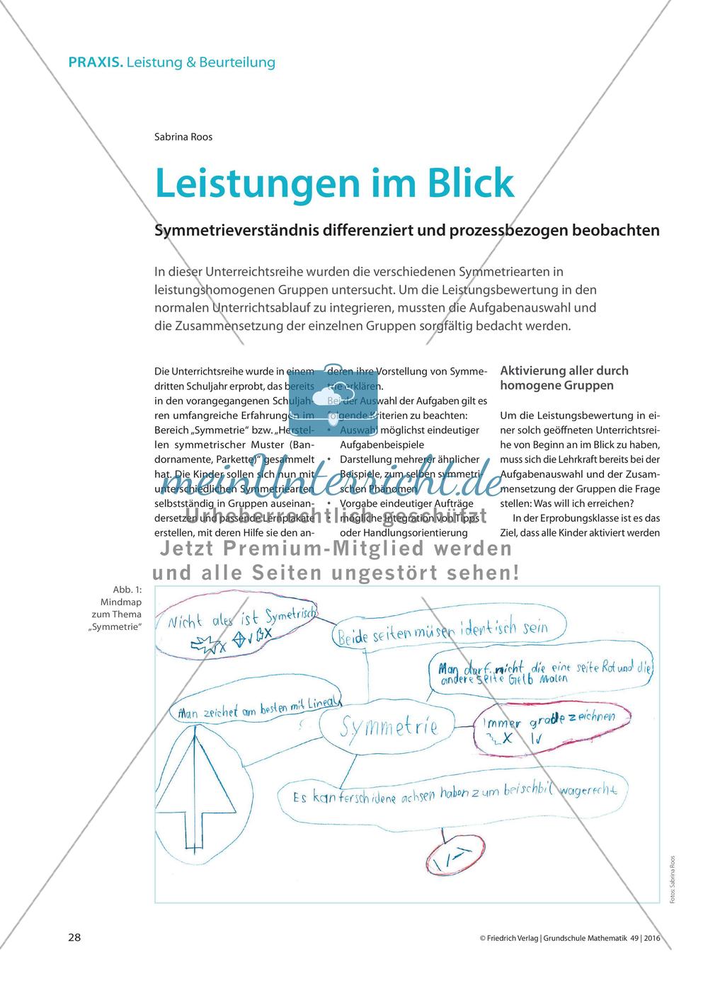 Leistungen im Blick - Symmetrieverständnis differenziert und prozessbezogen beobachten Preview 1
