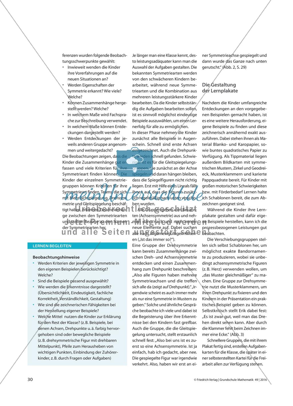 Leistungen im Blick - Symmetrieverständnis differenziert und prozessbezogen beobachten Preview 3