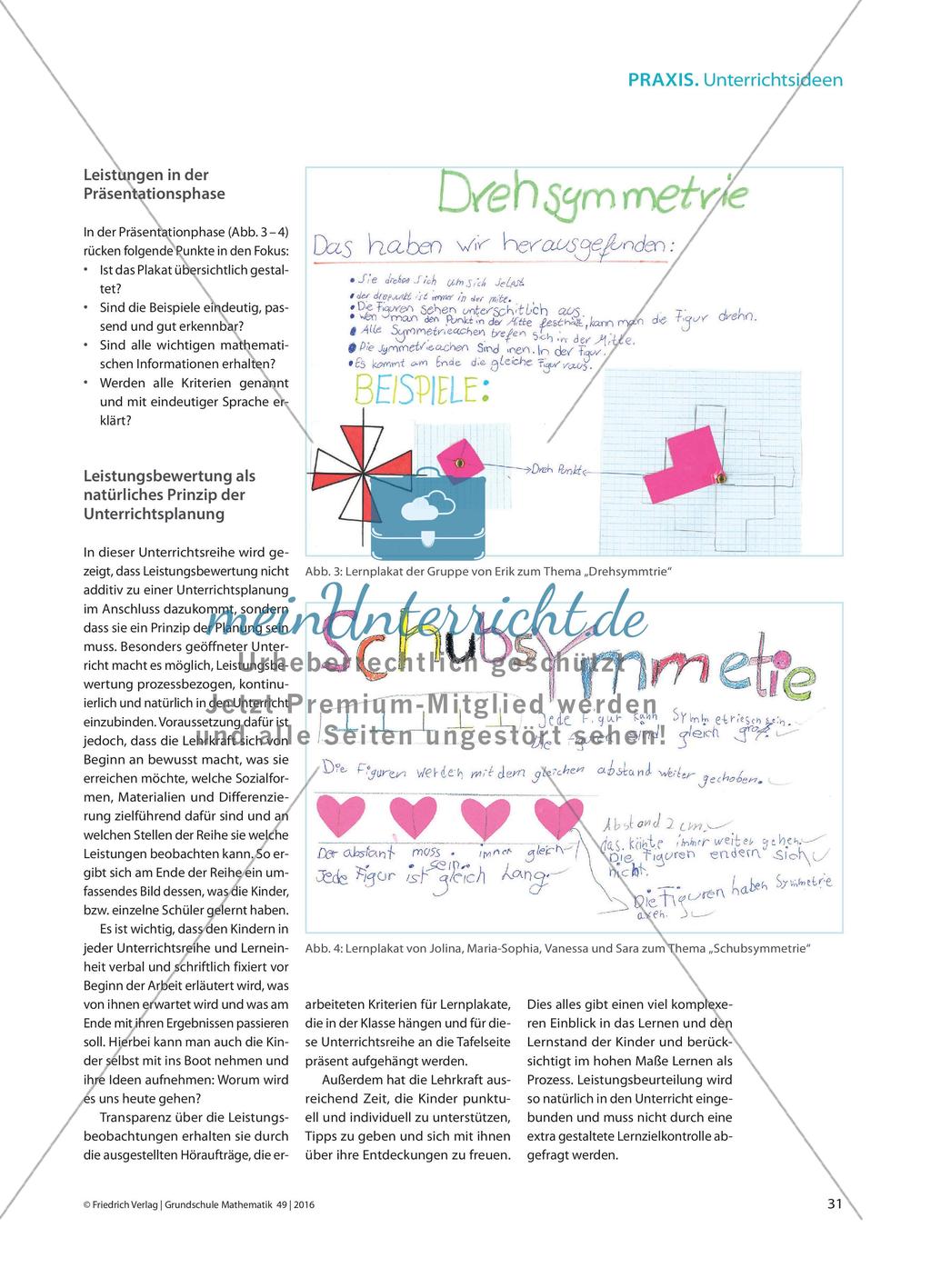 Leistungen im Blick - Symmetrieverständnis differenziert und prozessbezogen beobachten Preview 4