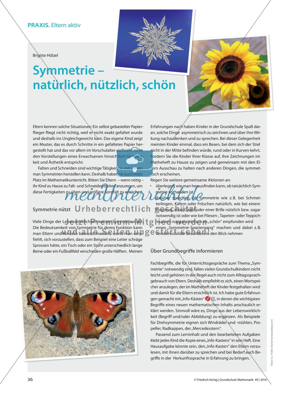 Symmetrie – natürlich, nützlich, schön Preview 1