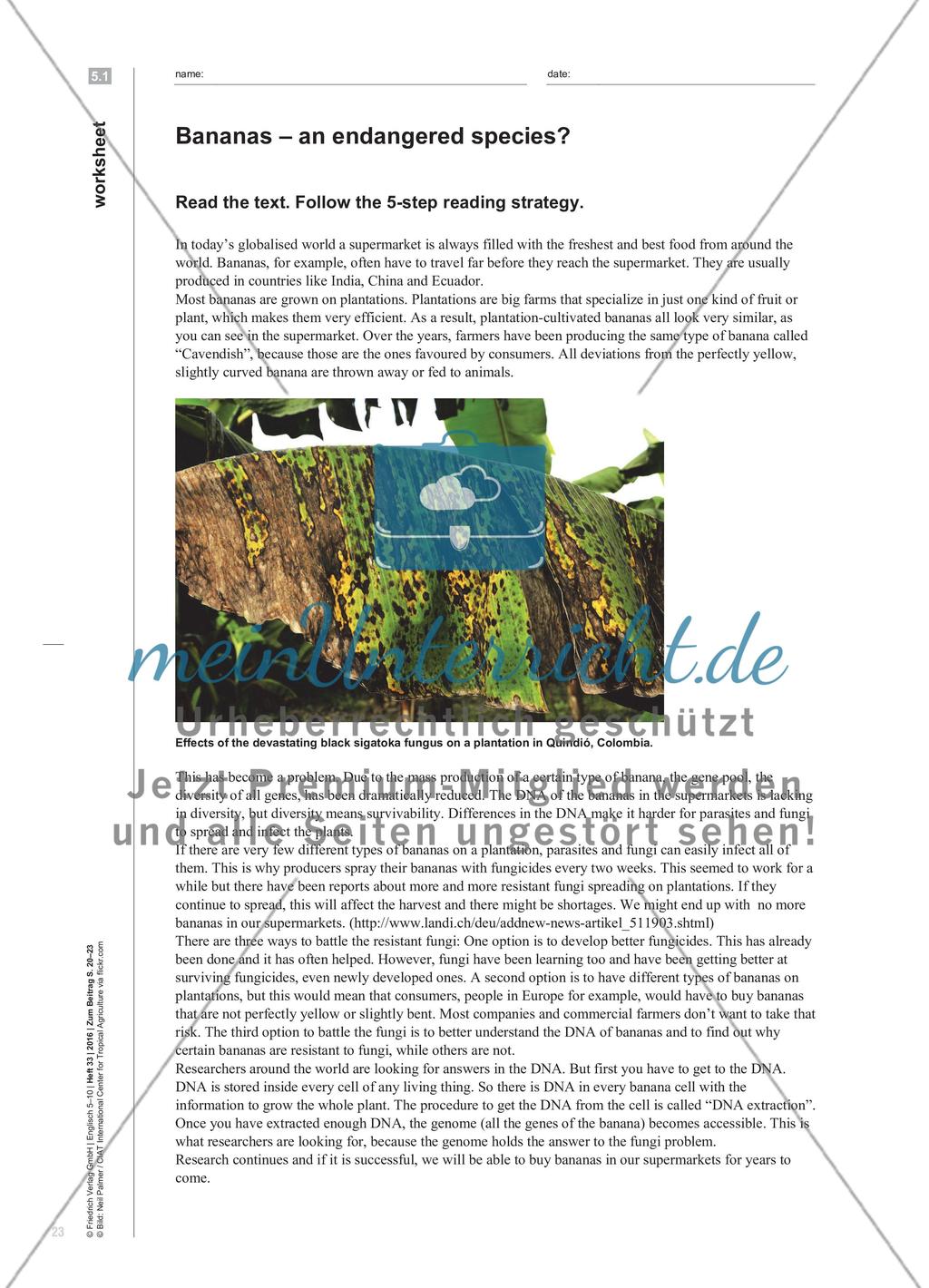 No more bananas?! - Wissenschaftliche Sachtexte mit der 5-Schritt Lesemethode erarbeiten Preview 4
