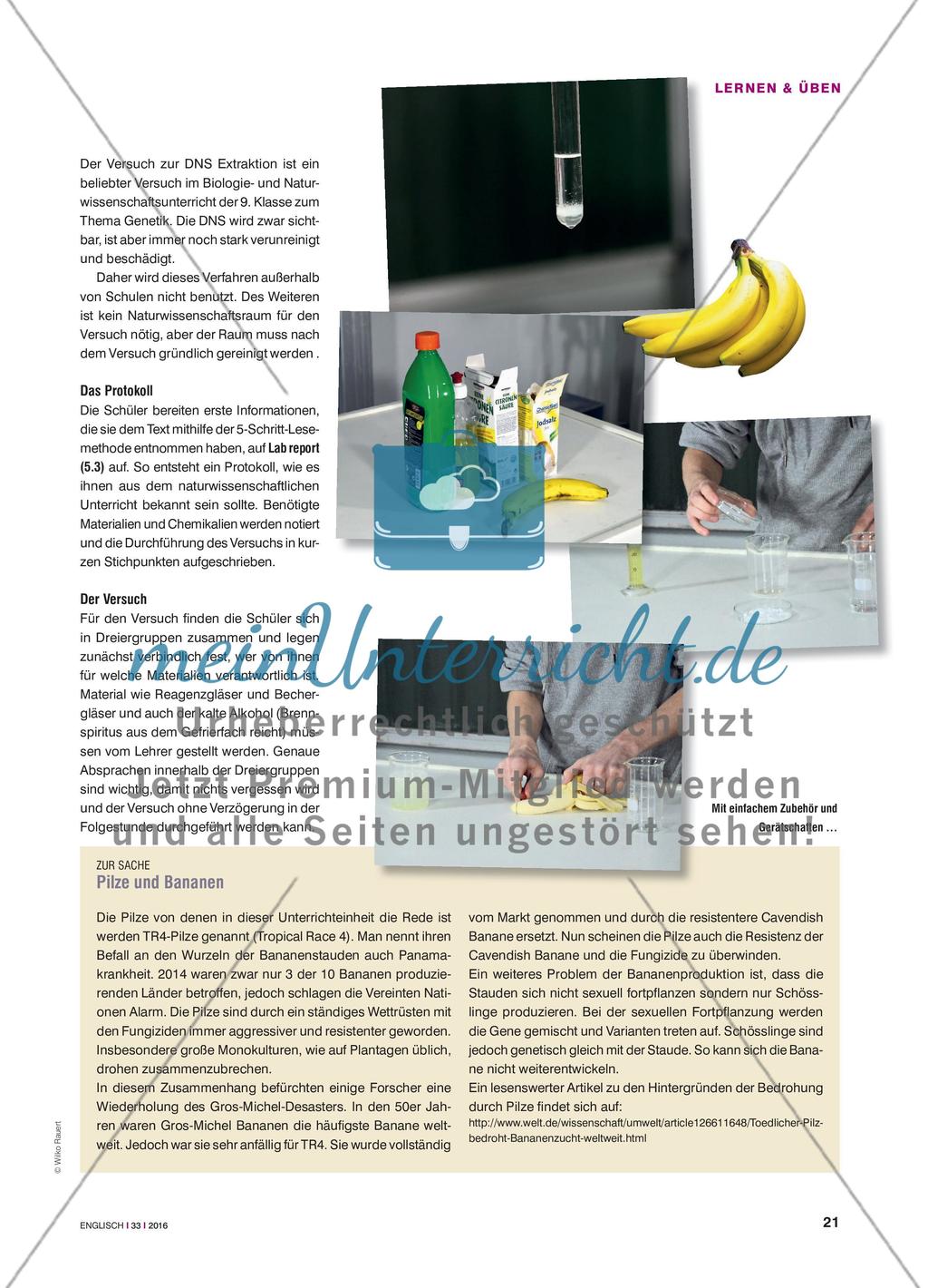 No more bananas?! - Wissenschaftliche Sachtexte mit der 5-Schritt Lesemethode erarbeiten Preview 5