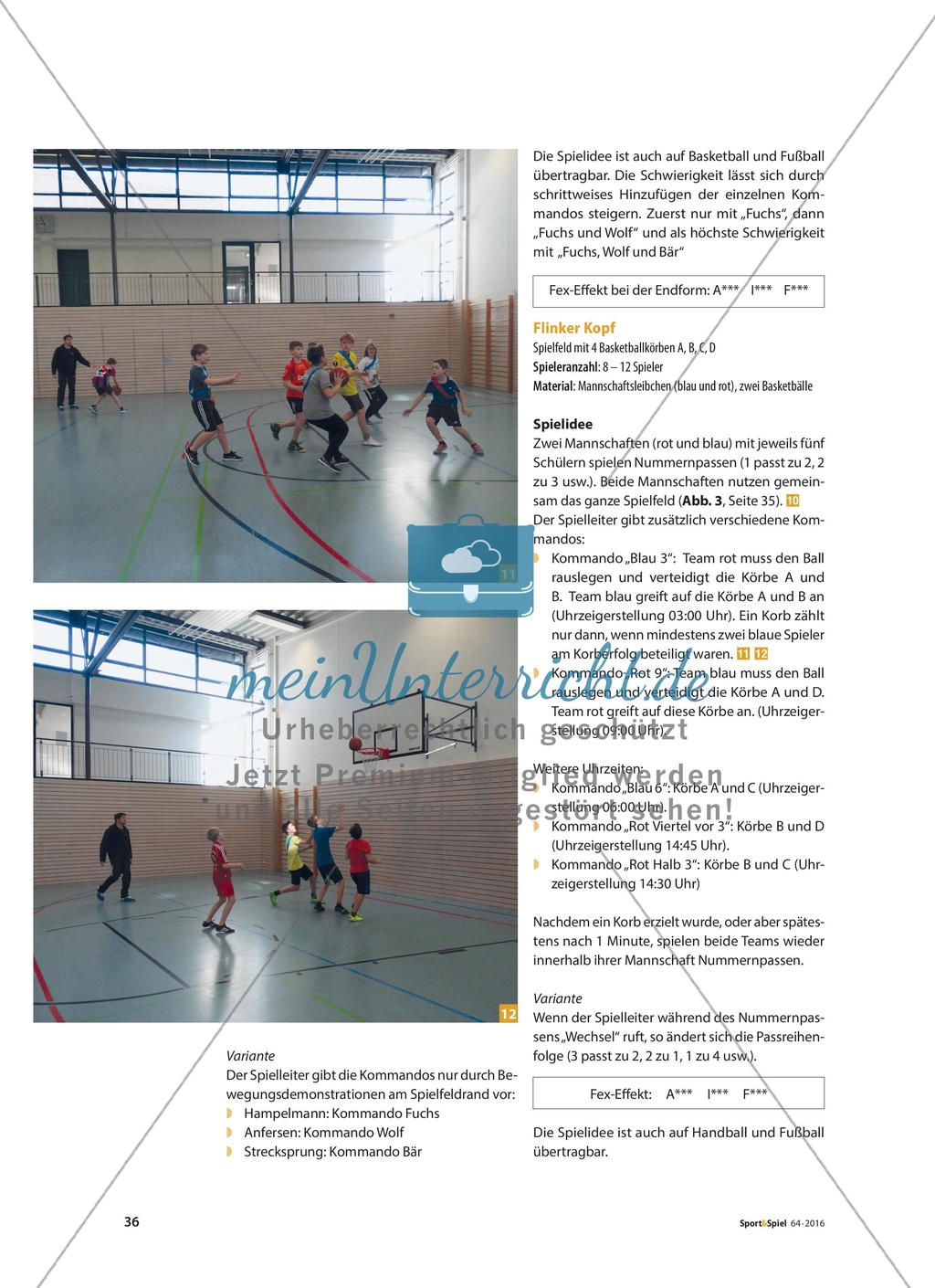 Schulung der Handlungsschnelligkeit in den Sportspielen Preview 7