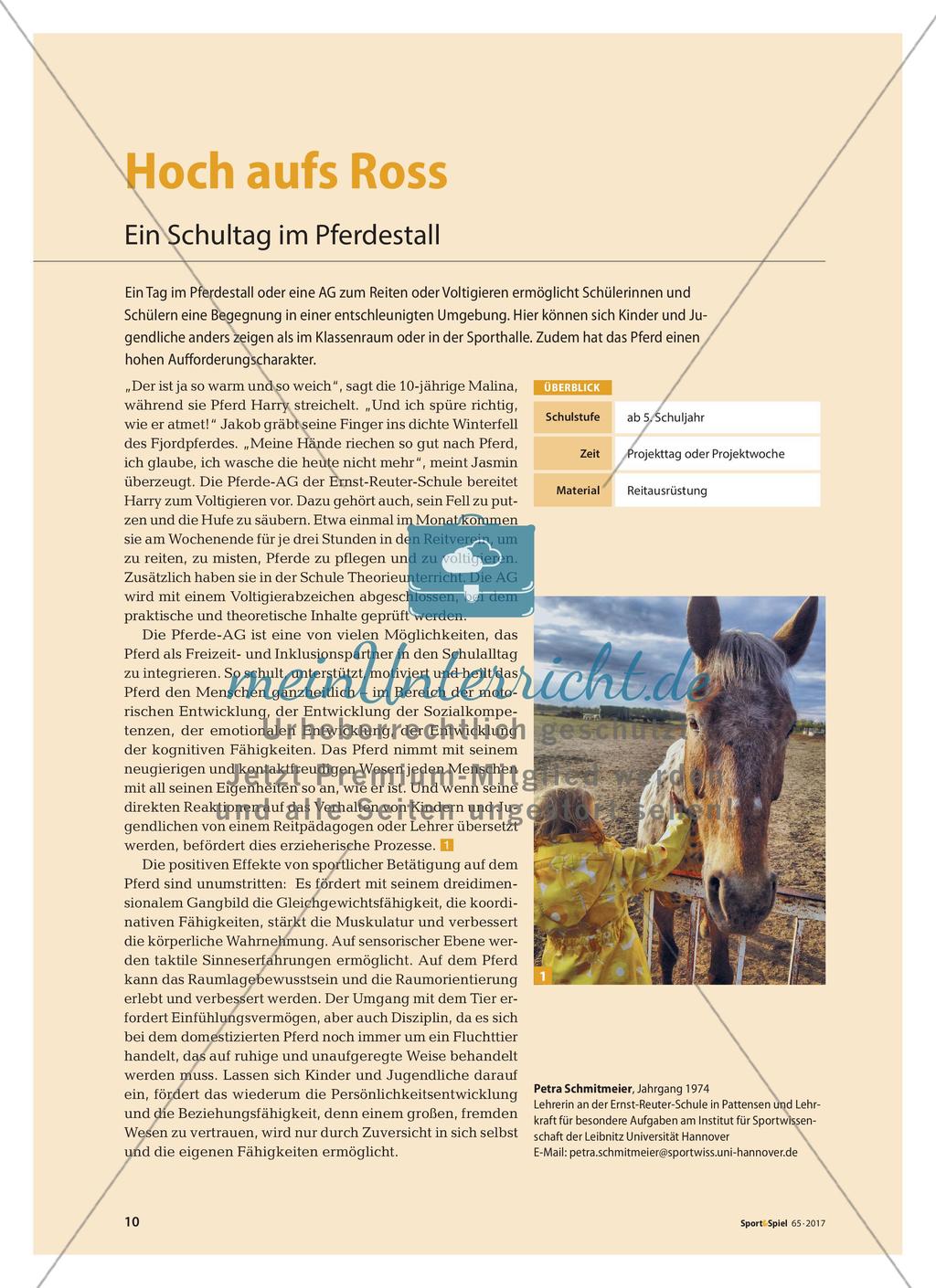 Hoch aufs Ross - Ein Schultag im Pferdestall Preview 1