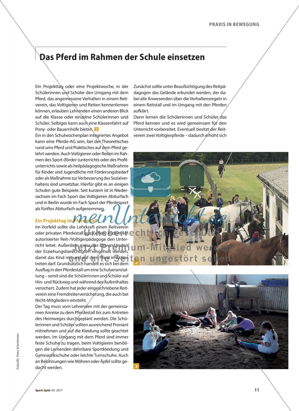 Hoch aufs Ross - Ein Schultag im Pferdestall Preview 2