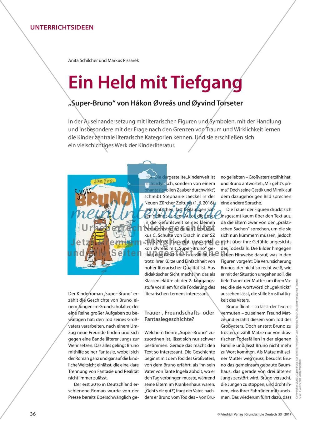 Ein Held mit Tiefgang - „Super-Bruno“ von Håkon Øvreås und Øyvind Torseter Preview 1
