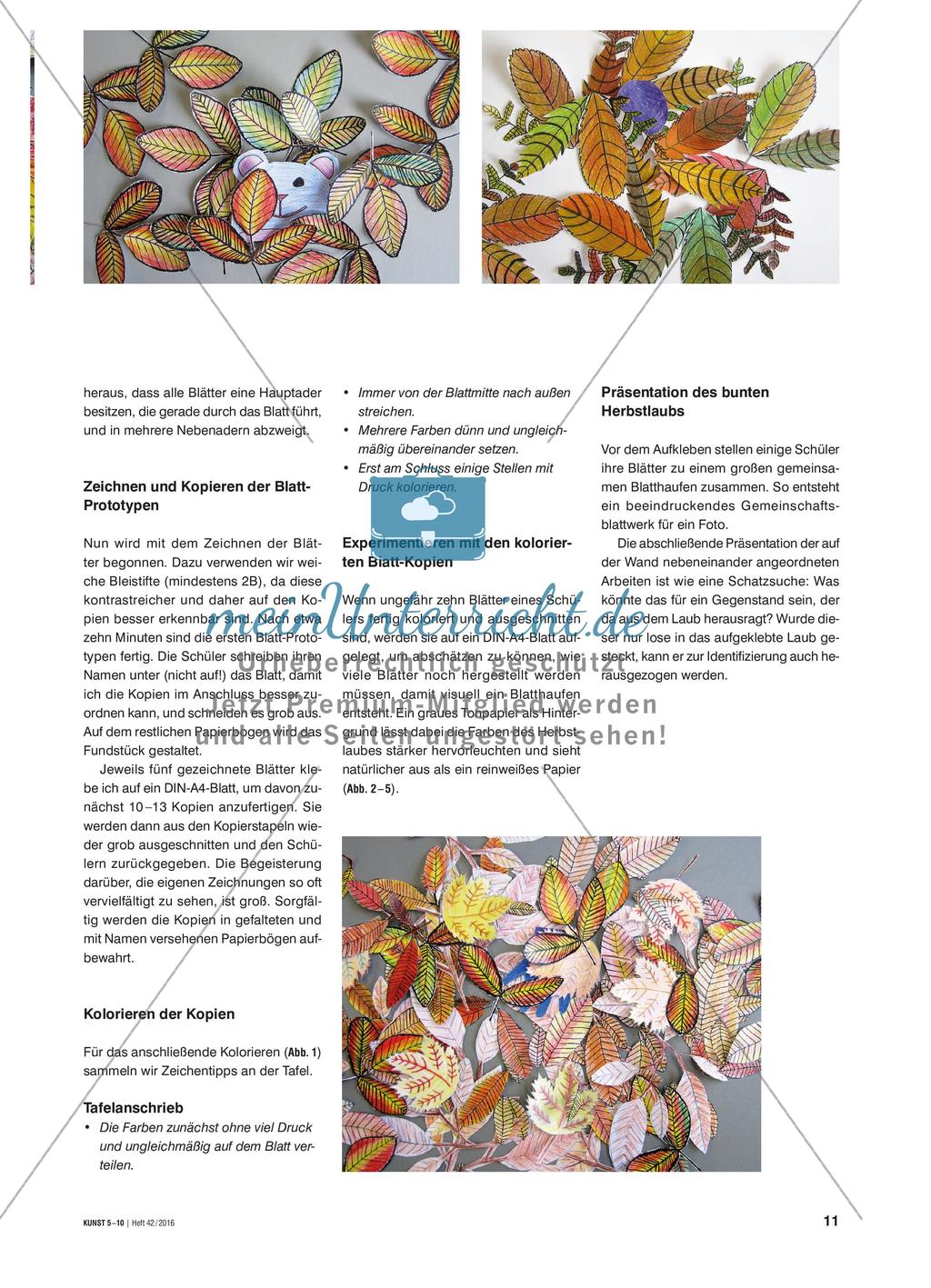 Herbstlaub kopieren - Einen bunten Blätterhaufen mit einem Blatt-Prototyp gestalten Preview 2