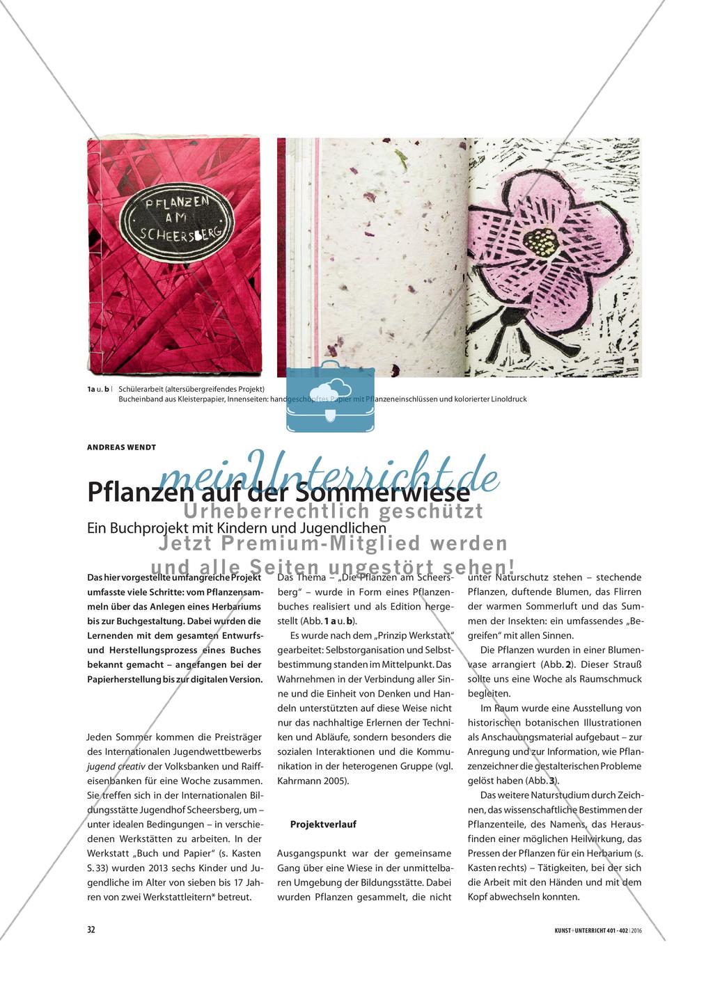 Pflanzen auf der Sommerwiese - Ein Buchprojekt mit Kindern und Jugendlichen Preview 1