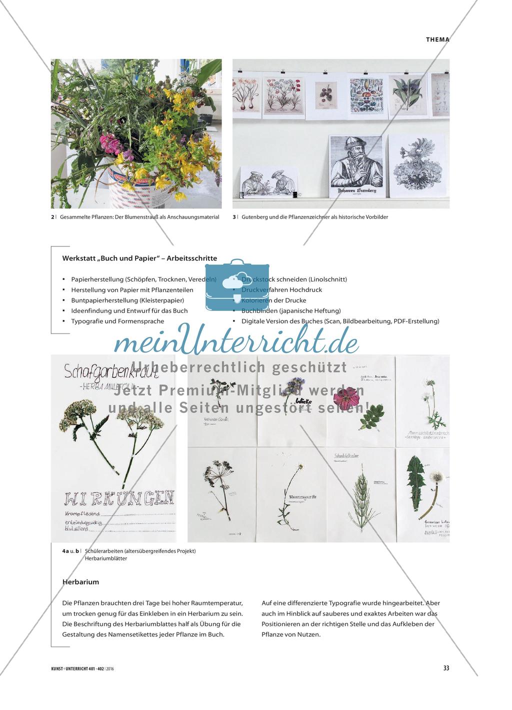 Pflanzen auf der Sommerwiese - Ein Buchprojekt mit Kindern und Jugendlichen Preview 2