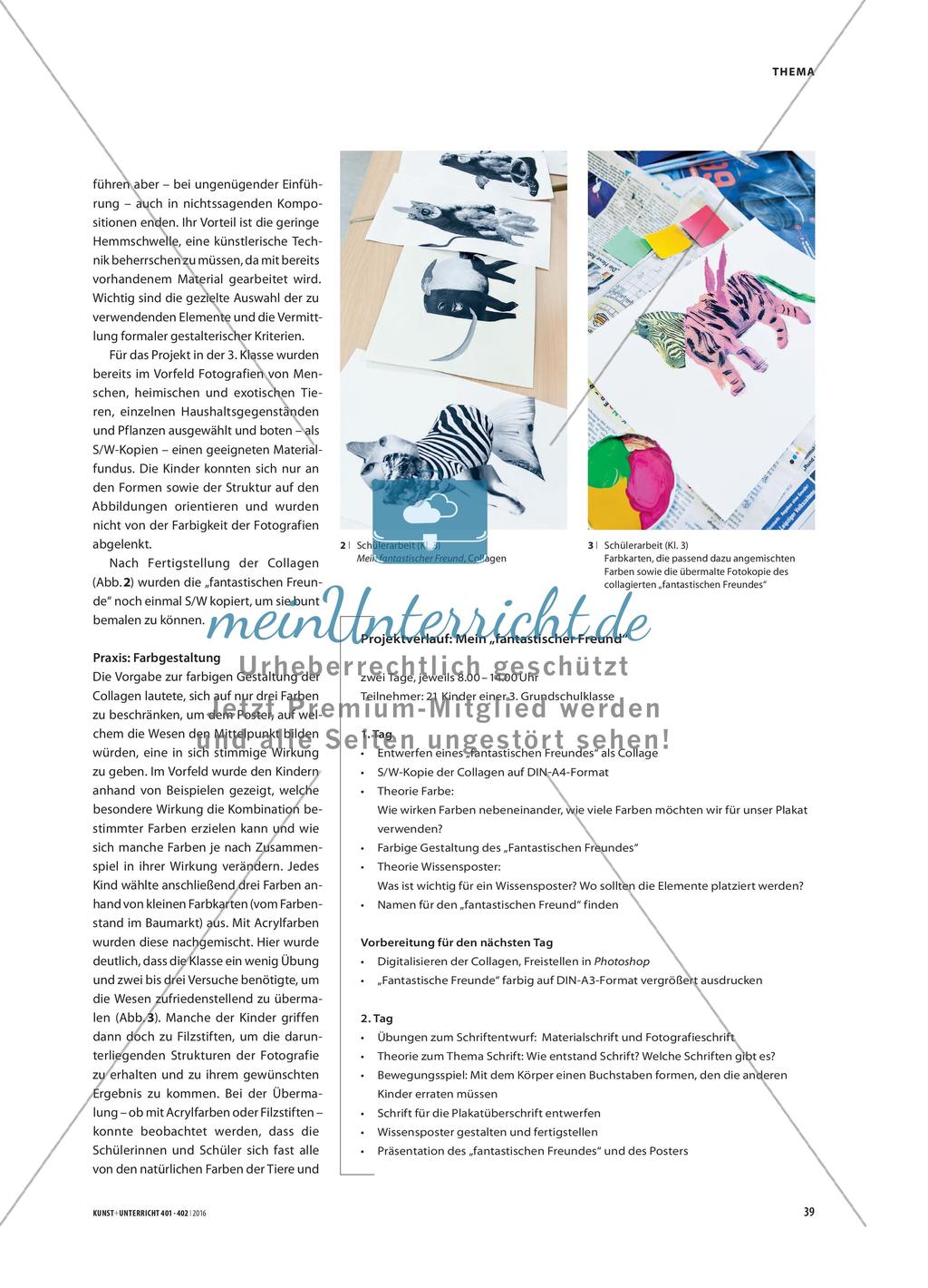 Mein fantastischer Freund - Eine Informationsgrafik als Wissensposter Preview 2
