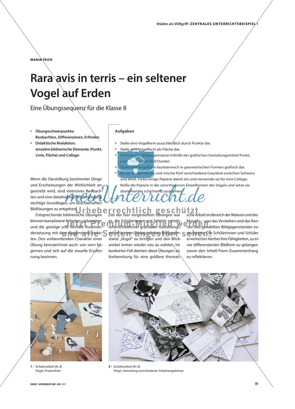 Rara avis in terris – ein seltener Vogel auf Erden: Eine Übungssequenz für die Klasse 8 Preview 1