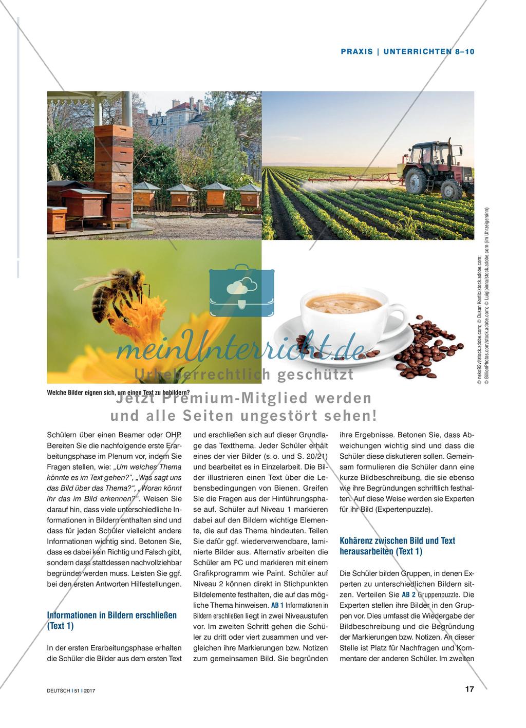 Wozu Bilder? - Text-Bild-Kombinationen verstehen und entwerfen Preview 2