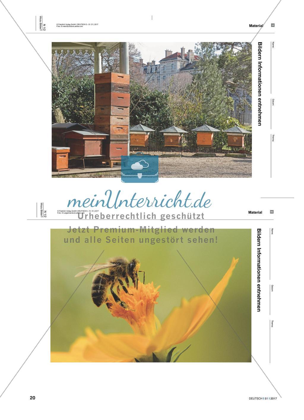 Wozu Bilder? - Text-Bild-Kombinationen verstehen und entwerfen Preview 5