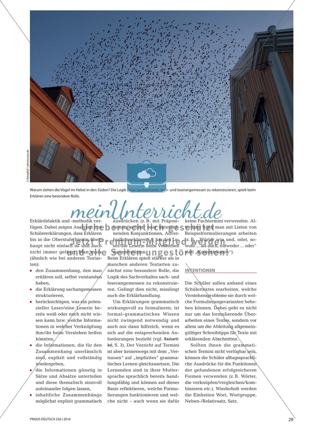 „Wie kann man das besser erklären?“ - Erklärungen in Sachtexten überarbeiten Preview 2