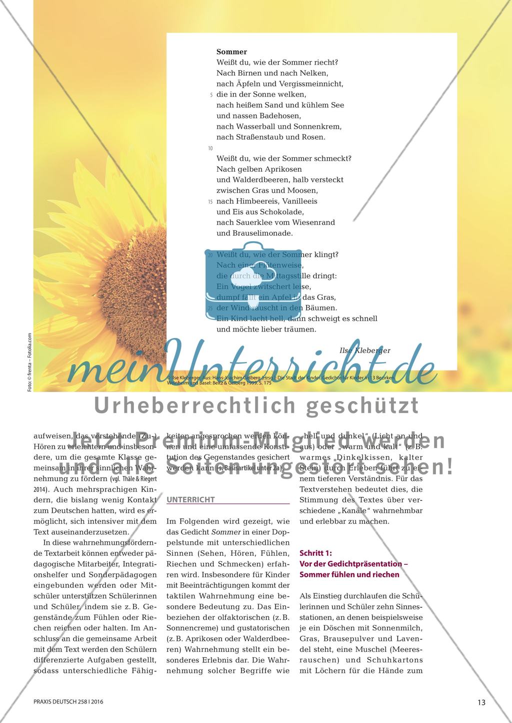Den Sommer gemeinsam hören, riechen, schmecken, fühlen und sehen - Sinneswahrnehmung aktivieren und so bei der gesamten Lerngruppe literarisches Lernen initiieren Preview 2