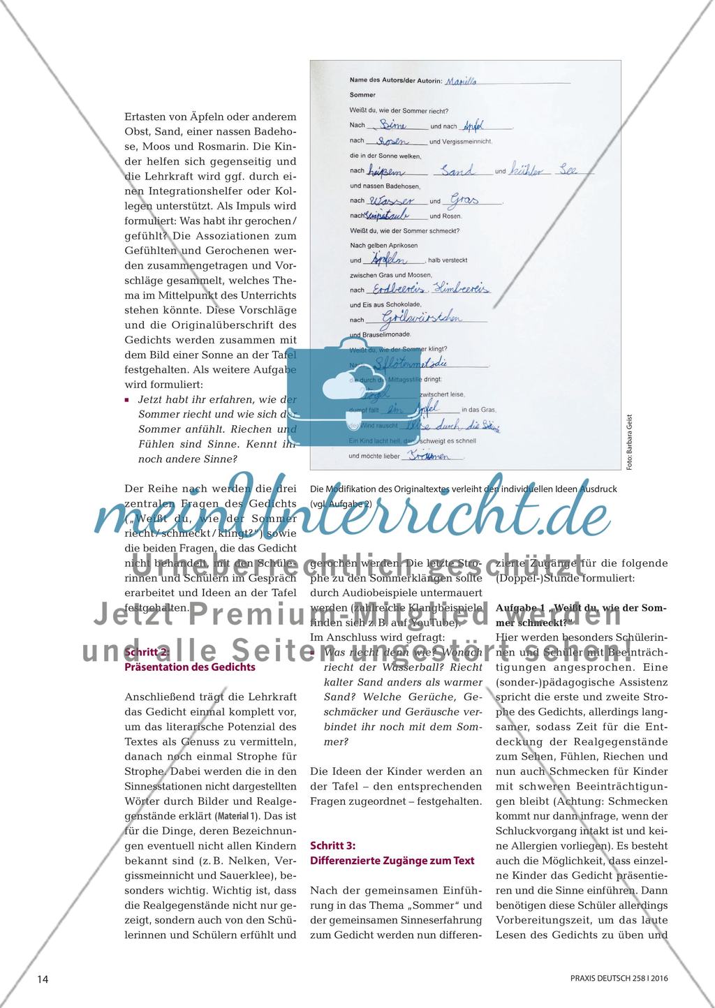 Den Sommer gemeinsam hören, riechen, schmecken, fühlen und sehen - Sinneswahrnehmung aktivieren und so bei der gesamten Lerngruppe literarisches Lernen initiieren Preview 3