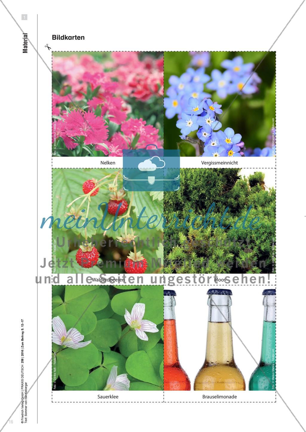 Den Sommer gemeinsam hören, riechen, schmecken, fühlen und sehen - Sinneswahrnehmung aktivieren und so bei der gesamten Lerngruppe literarisches Lernen initiieren Preview 5